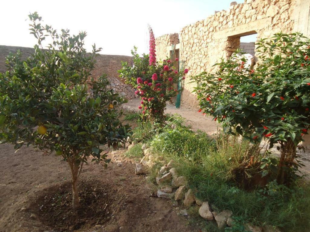 Takad Dream Rural Apartamento El Borj Exterior foto